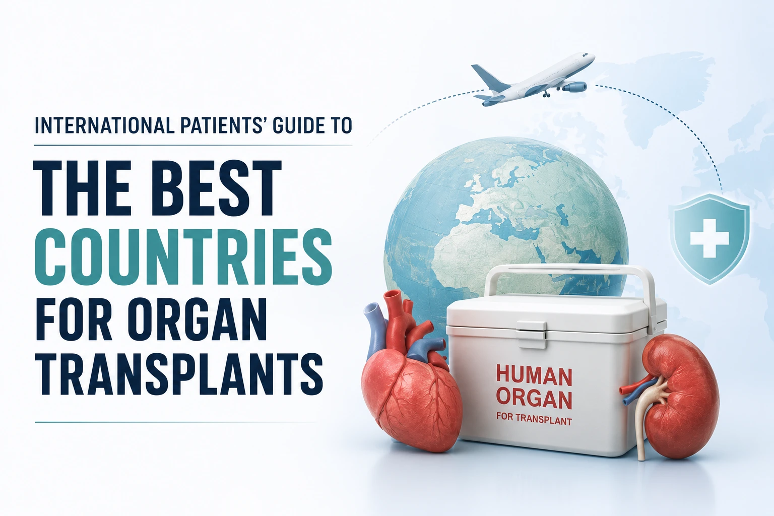 best countries for organ transplants best countries for organ transplants